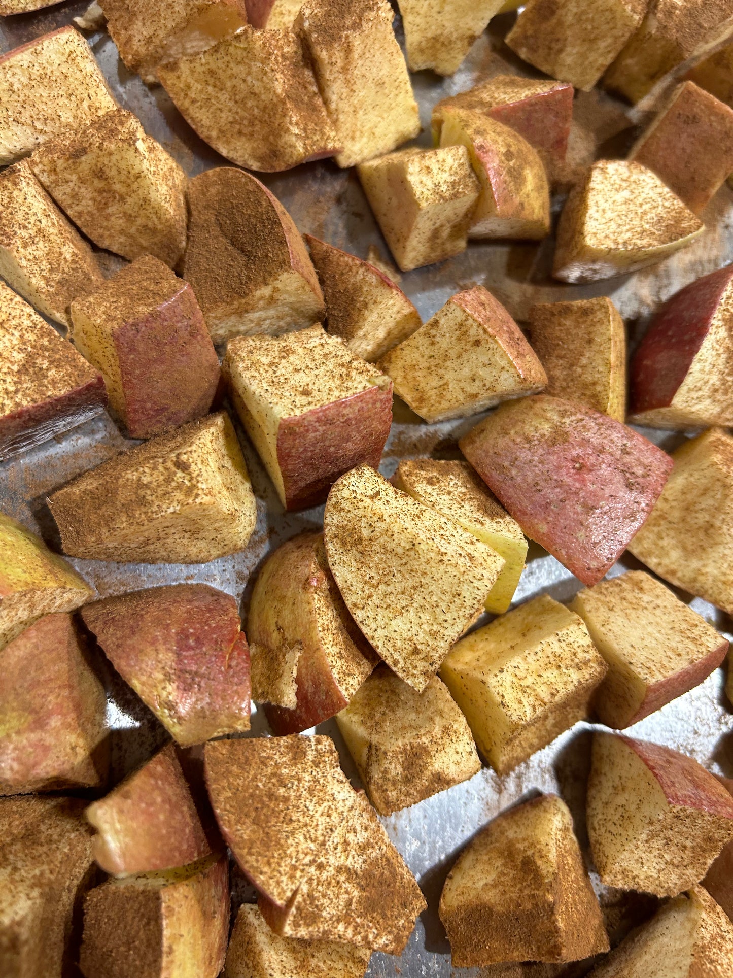 Freeze Dried Apples